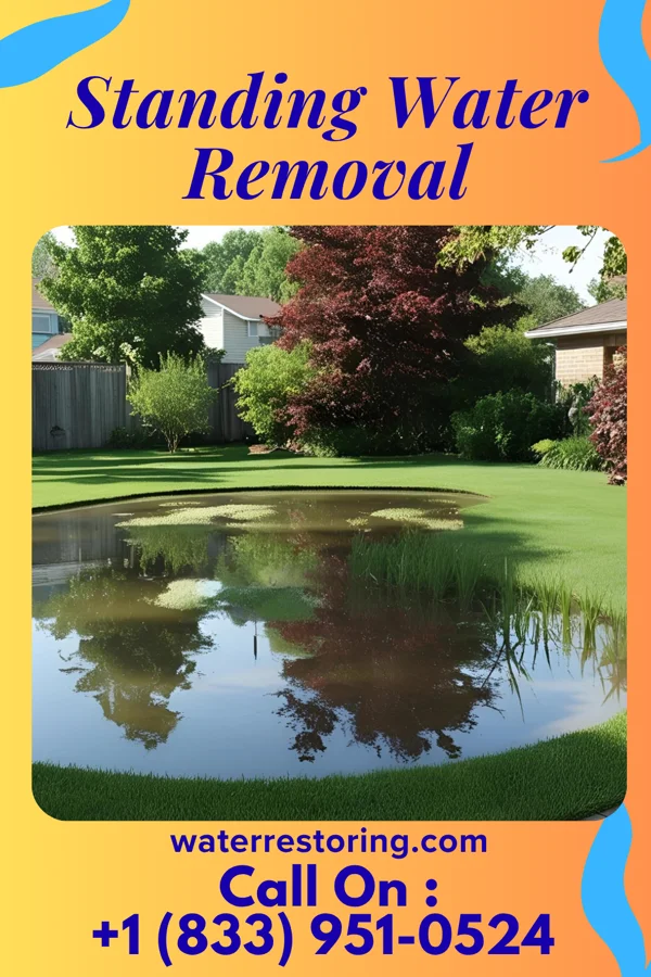 Standing Water Removal in Ocean Breeze, FL